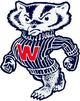 Wisconsin Badgers 1967-1990 Primary Logo DIY iron on transfer (heat transfer)
